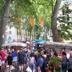 Céret  (35 km)