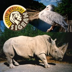 Sigean – Afrikapark (60 km)