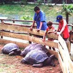Sorède, Schildkrötendorf (15 km)